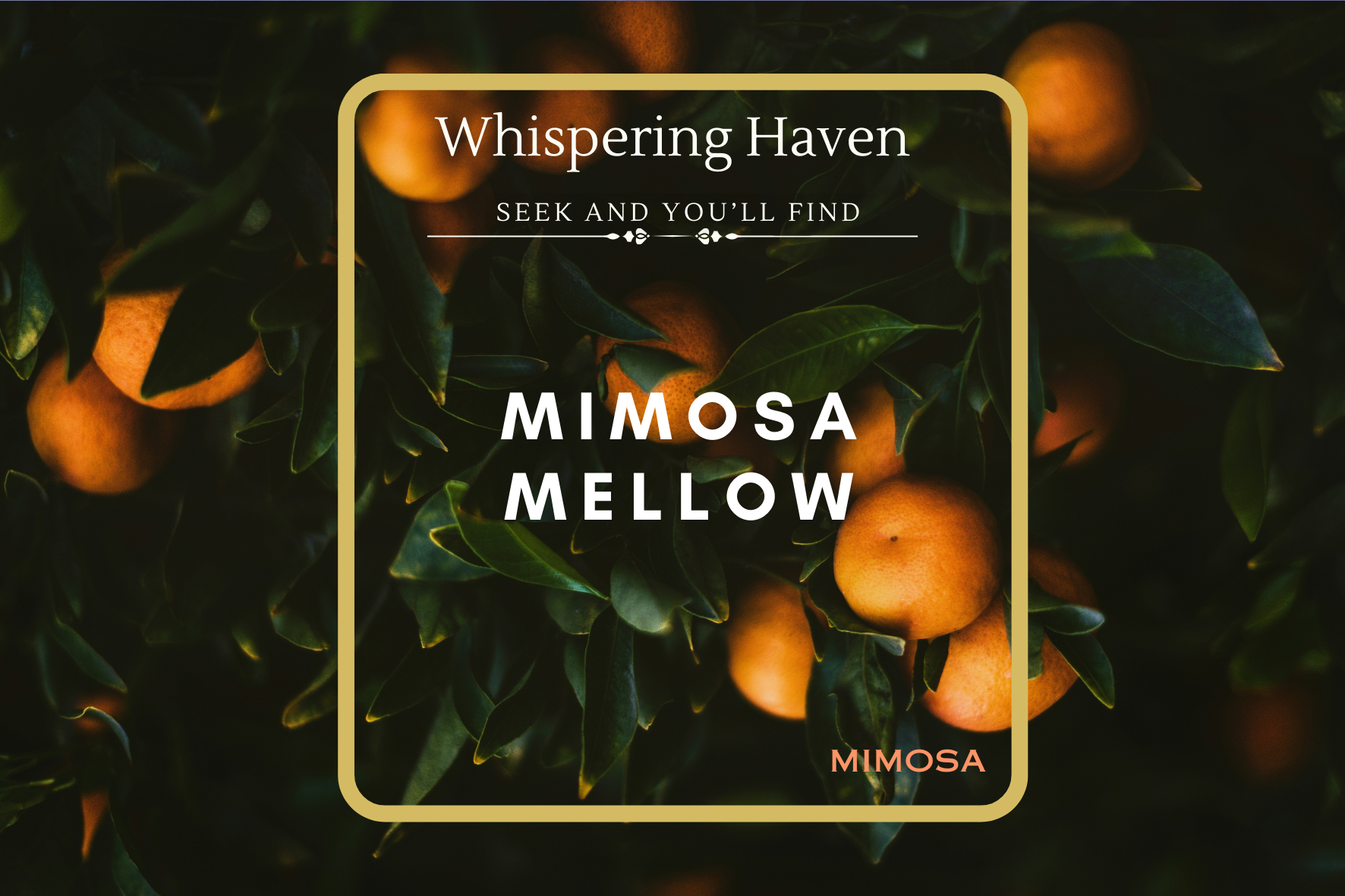 Mimosa Mellow – Whispering Haven